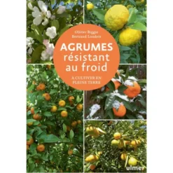 Agrumes résistant au froid