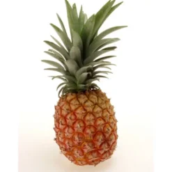 Ananas (pièce) Bio