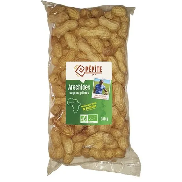 Arachides coques grillées Bio 330g