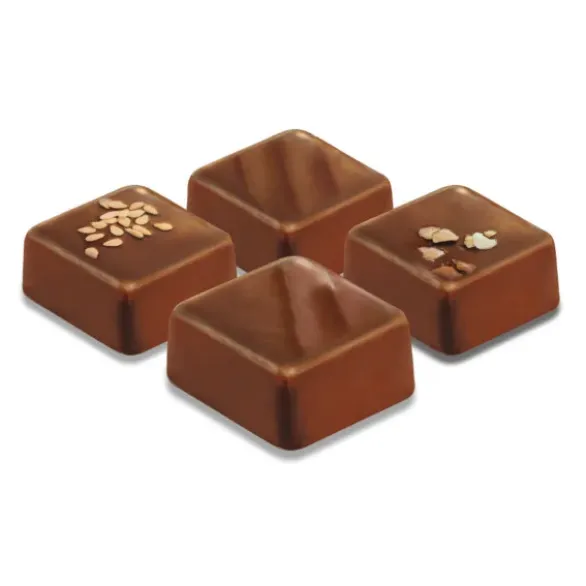Assortiment vrac chocolat lait praliné Bio