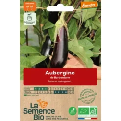 Aubergine de Barbentanesemence 0,16g