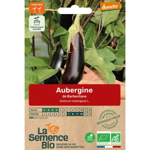 Aubergine de Barbentanesemence 0,16g