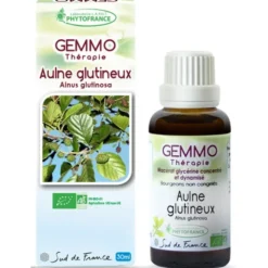 Aulne glutineux (Alnus glutinosa)