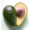 Avocat Hass (pièce) Bio