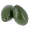 Avocat Lisse (pièce) Bio