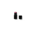 Baume stick lèvre joue 03 bois rose 6,1g