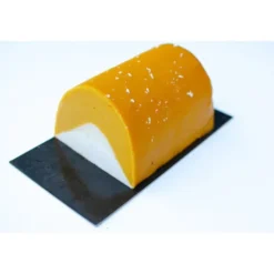 Bûche sorbet coco mangue 600g