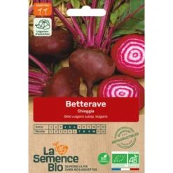 Betterave Chioggia semence 3,5g