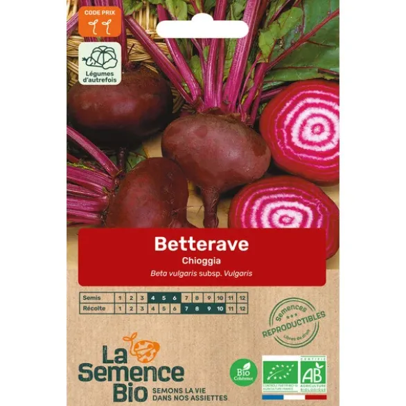 Betterave Chioggia semence 3,5g