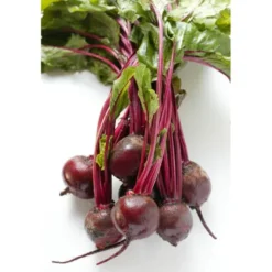 Betterave Rouge Botte Bio
