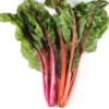 Blette Couleur Bio