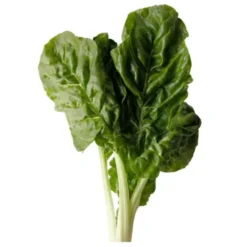 Blette Feuille Bio