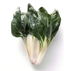 Blette Pied Bio