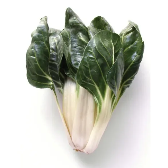 Blette Pied Bio