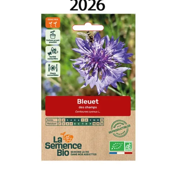 Bleuet des champs semence 1g