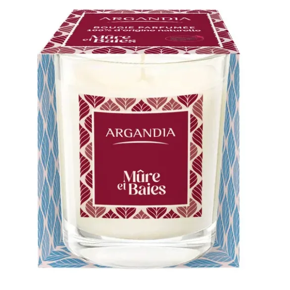 Bougie mûre et baie 75g