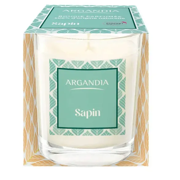 Bougie sapin 75g
