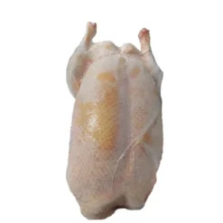 Canard PAC env.3.2kg