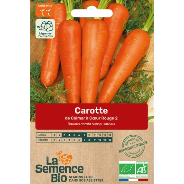 Carotte Colmar Cœur Rougesemence 1.2g