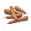 Carotte Terre Bio