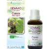 Cassis (Ribes nigrum)
