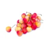 Cerise Bicolore Bio