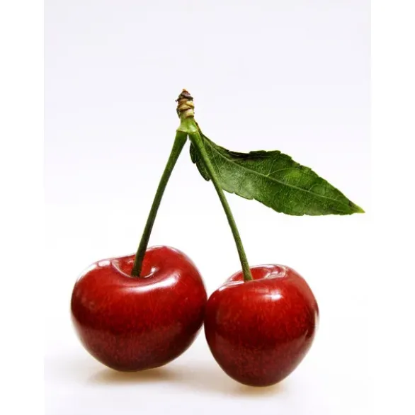 Cerise Rouge Bio