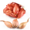 Échalote Filet Bio