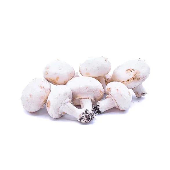 Champignon Blanc Bio