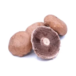 Champignon Portobello Bio