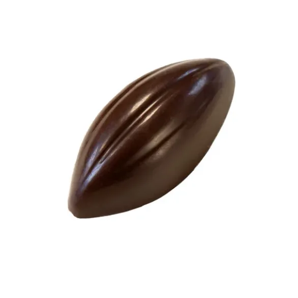 Chocolat noir dessert palets 72% Bio