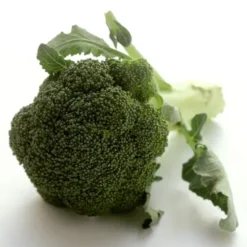 Chou Brocoli Bio