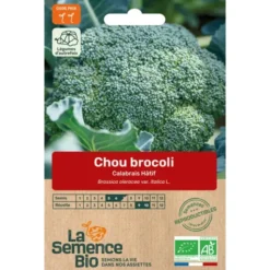 Chou brocoli Calabrais Hâtifsemence 0,43g