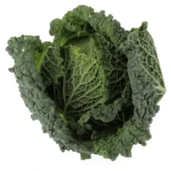 Chou Frisé Bio