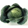 Chou Frisé de Pontoise (pièce) Bio
