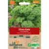 Chou Kale frisé Halbhoher semence 0,6g