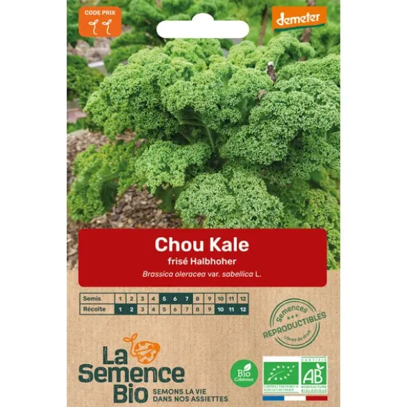 Chou Kale frisé Halbhoher semence 0,6g