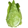 Chou Pointu (pièce) Bio