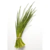 Ciboulette botte Bio