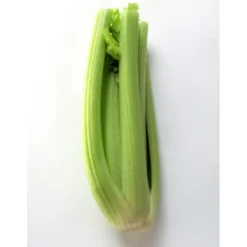 Céleri Branche Bio