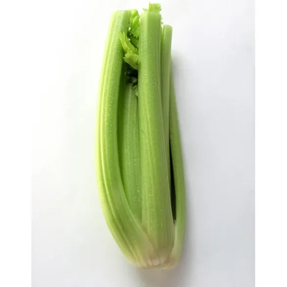 Céleri Branche Bio