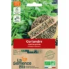 Coriandre petite graine semence 2,2g