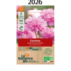 Cosmos double clic rose semence 0.5g
