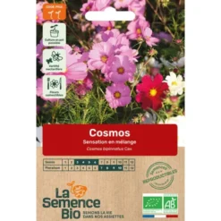 Cosmos sensation en mélangesemence 0,5g