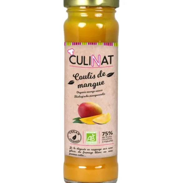 Coulis de mangue 160g