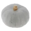Courge Bleu de Hongrie Bio