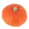 Courge Bonnet Turc Bio