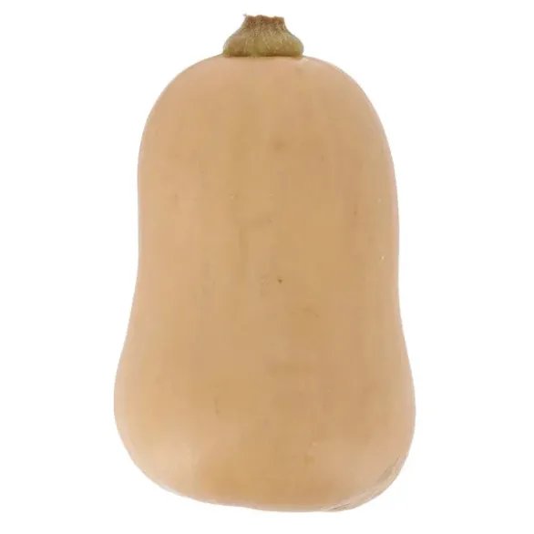 Courge Butternut Bio