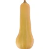 Courge Longue de Nice Bio