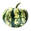 Courge Patidou Bio